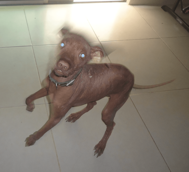 Screenshot 2026-01-05 at 3.23.26 p.m..png